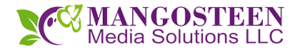 mangomedia logo color for menu 300x50