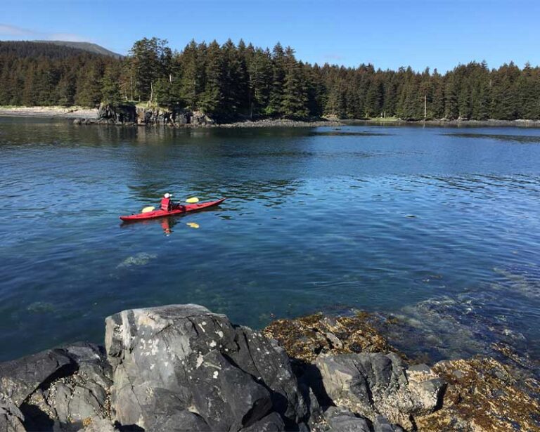 Whale Island Cabins 1 1 768x615