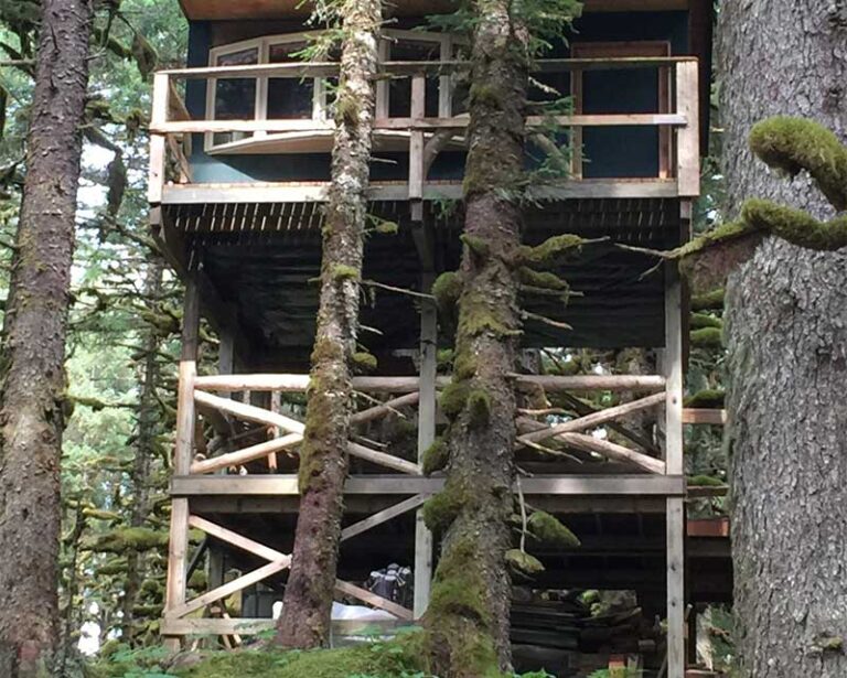 Whale Island Cabins 2 768x615