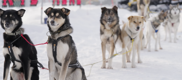 Screenshot 2024 10 24 at 8.19.29 PM 768x341