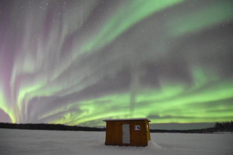 tempImageiHYFu3 768x512