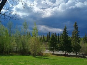 IMG 20250525 124743887 HDR 300x225