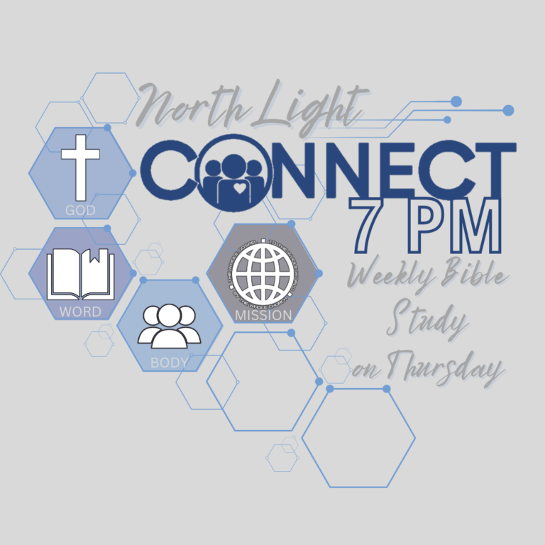 Copy of North Light Connect 1080x1080 Animated 768x768